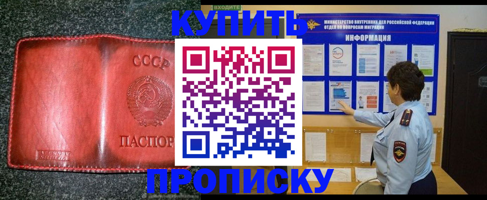 прописка гарантия в Шилке